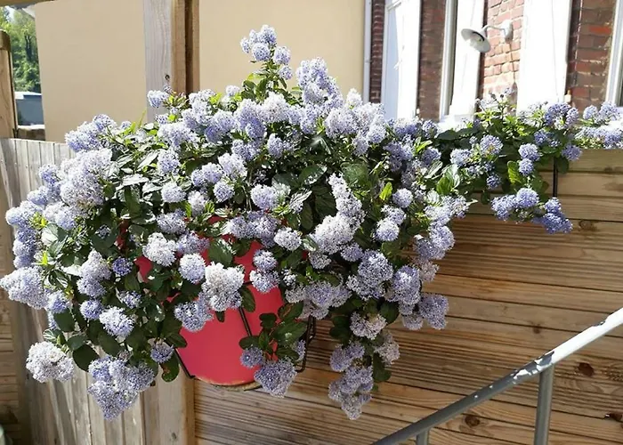 Les Belles Terrasses Dieppe ,3 appartements , LE VEGETAL de 1 à 8 personnes , LE TROPICAL de 1 à 6 personnes , LE FLORAL avec TERRASSE de 1 à 3 personnes , quartier calme au stationnement gratuit à coté de l\'avenue verte
