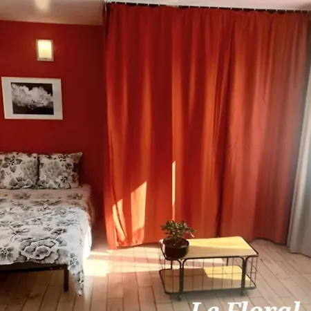 Les Belles Terrasses Dieppe ,3 Appartements , Le Vegetal De 1 A 8 Personnes , Le Tropical De 1 A 6 Personnes , Le Floral Avec Terrasse De 1 A 3 Personnes , Quartier Calme Au Stationnement Gratuit A Cote De L'Avenue Verte Exterior photo